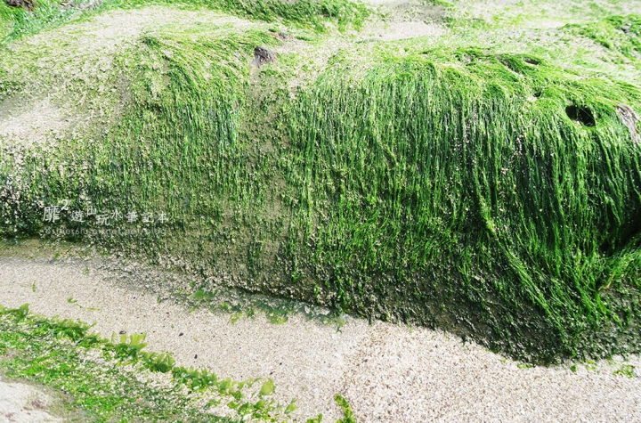 新北石門~老梅綠石槽