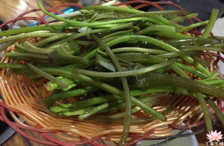 【中國・麗江・2016】麗江第一鍋的號稱-臘排骨鍋