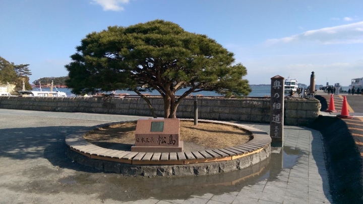 【日本。東北】《宮城縣》日本三景 松島 便宜船票看這裡! 必吃牡蠣拉麵