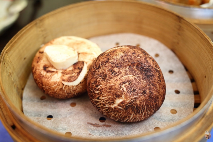 [新北]一個人也可以吃的港式點心,三重銅板美食-靜心食府  by蛋拔
