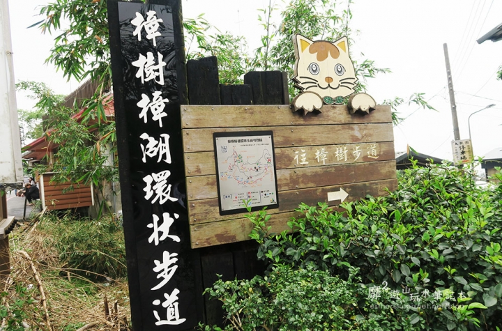 台北木柵~貓空樟樹樟湖環狀步道賞魯冰花