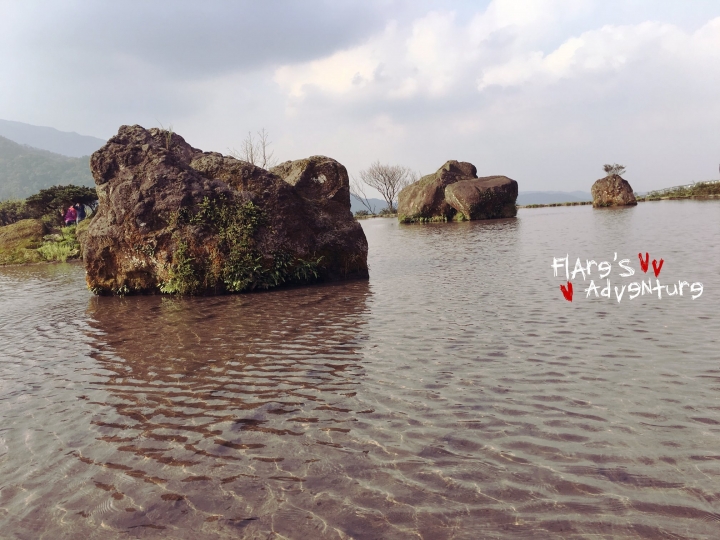 [新北八煙景點] 八煙聚落踏青之旅_陽明山國家公園硫磺口_金山北海岸路線八煙溫泉♥家族旅遊