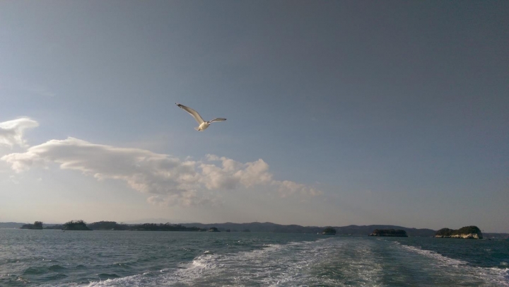 【日本。東北】《宮城縣》日本三景 松島 便宜船票看這裡! 必吃牡蠣拉麵