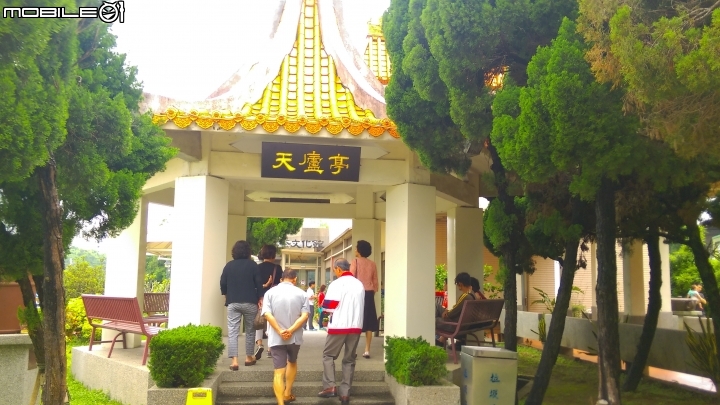 竹南 天仁茶業 觀光工廠散步遊