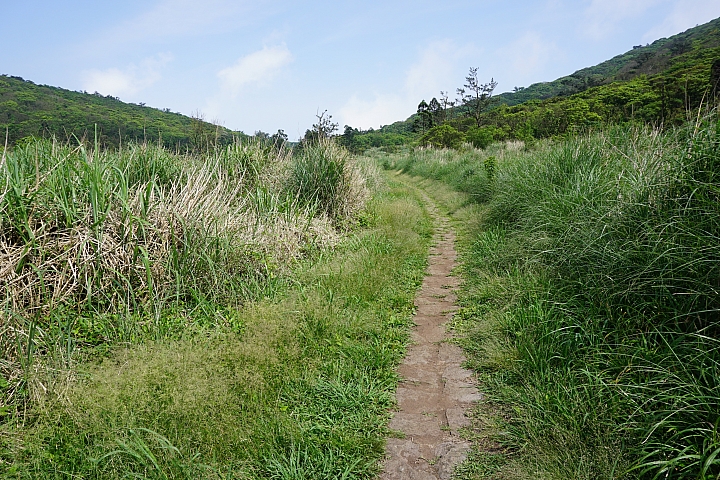 大屯山 - 大屯坪 - 二子坪 - 大屯自然公園 - 菜公坑山  ( 42 P )