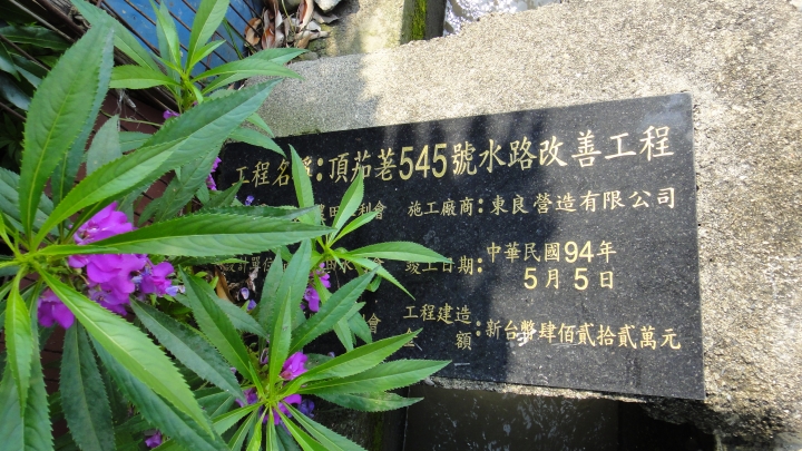 2016-05-02白花花的黃梔花與挑水古道的油桐花