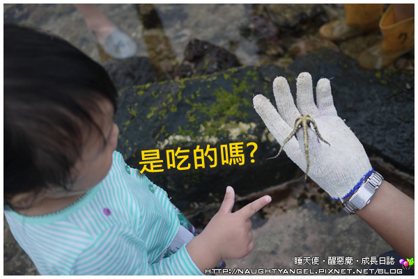 〈澎湖好好玩〉揪團來去漁村住一晚！無菜單行程驚喜連連金促咪！