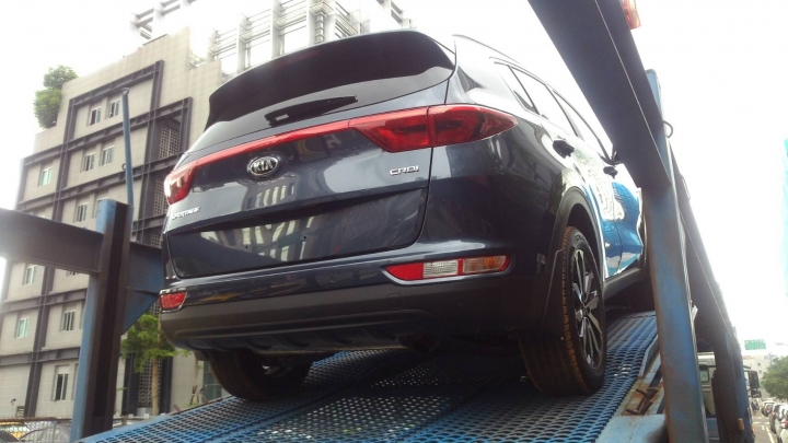 遇到野生的Sportage