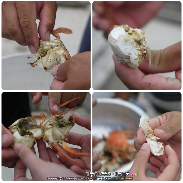〈澎湖好好玩〉揪團來去漁村住一晚！無菜單行程驚喜連連金促咪！