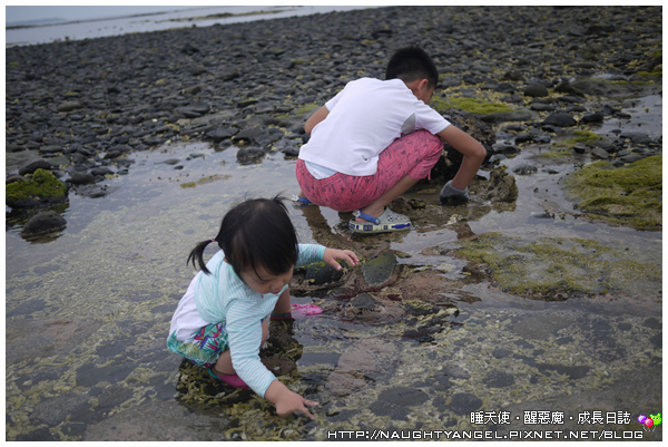〈澎湖好好玩〉揪團來去漁村住一晚！無菜單行程驚喜連連金促咪！