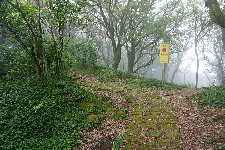 大屯山 - 大屯坪 - 二子坪 - 大屯自然公園 - 菜公坑山  ( 42 P )