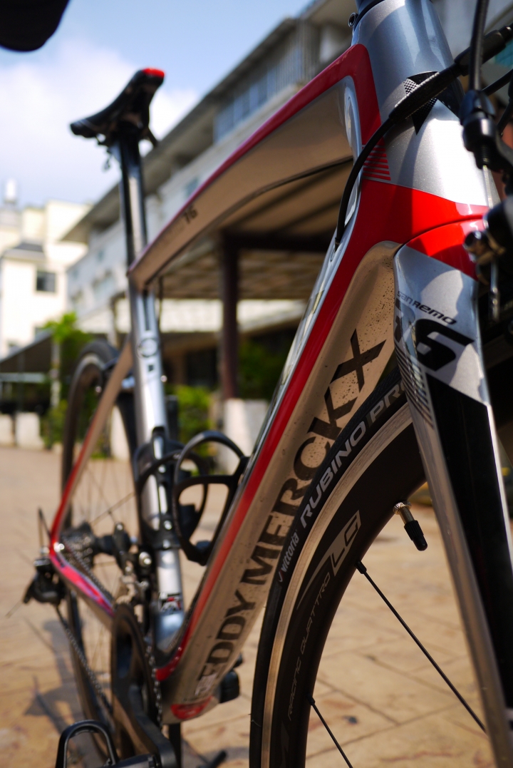 超冷門eddy merckx san remo 76 髒兮兮開箱
