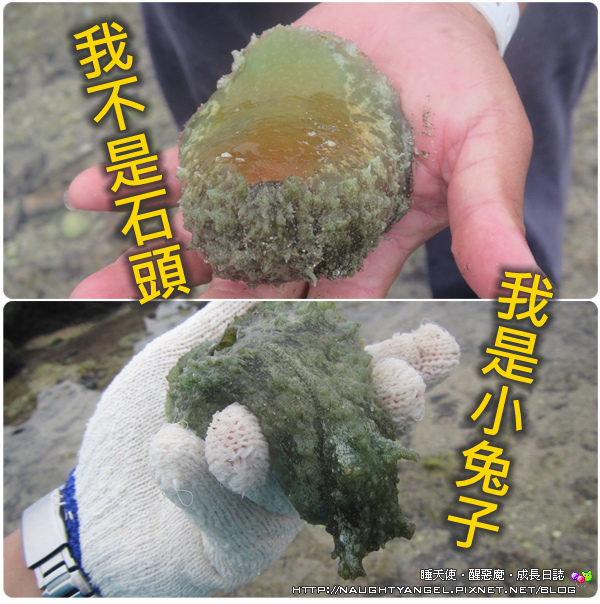 〈澎湖好好玩〉揪團來去漁村住一晚！無菜單行程驚喜連連金促咪！