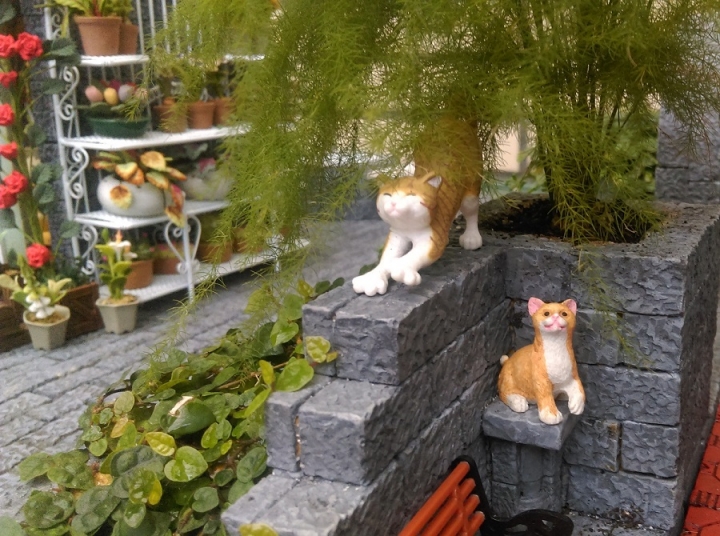 DIY小屋,貓鎮(持續建設中)