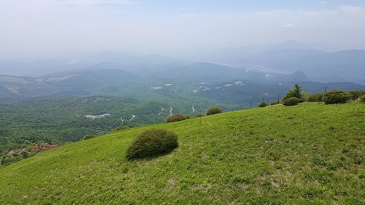 三星 NOTE 5 初夏 日本 實拍 分享 (日光)