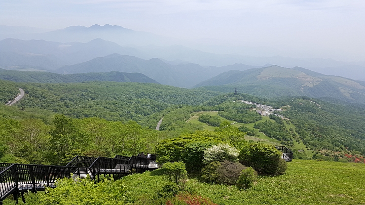 三星 NOTE 5 初夏 日本 實拍 分享 (日光)