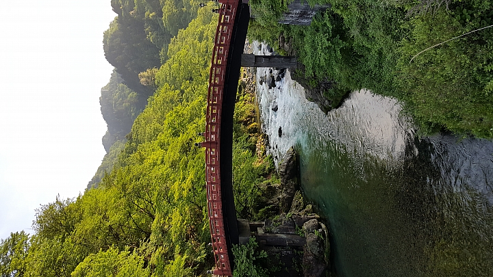 三星 NOTE 5 初夏 日本 實拍 分享 (日光)