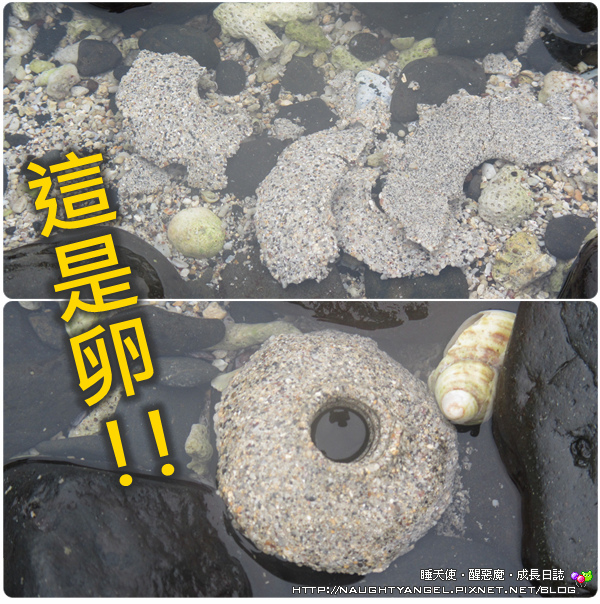 〈澎湖好好玩〉揪團來去漁村住一晚！無菜單行程驚喜連連金促咪！