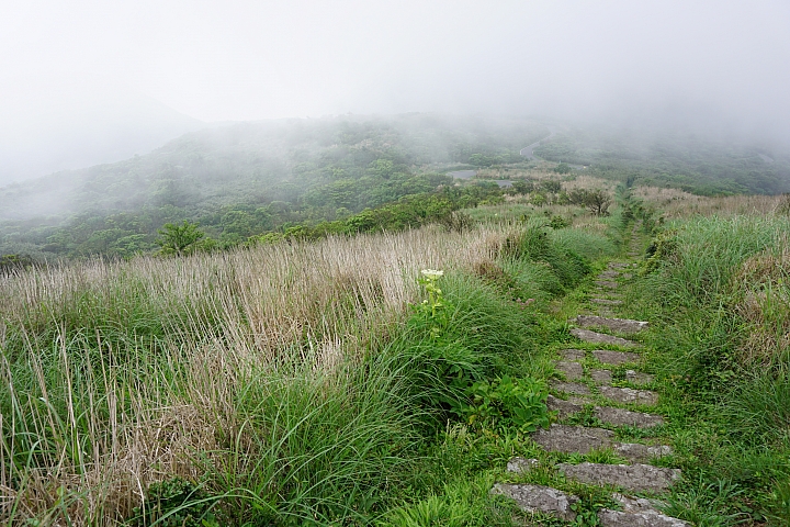 大屯山 - 大屯坪 - 二子坪 - 大屯自然公園 - 菜公坑山  ( 42 P )