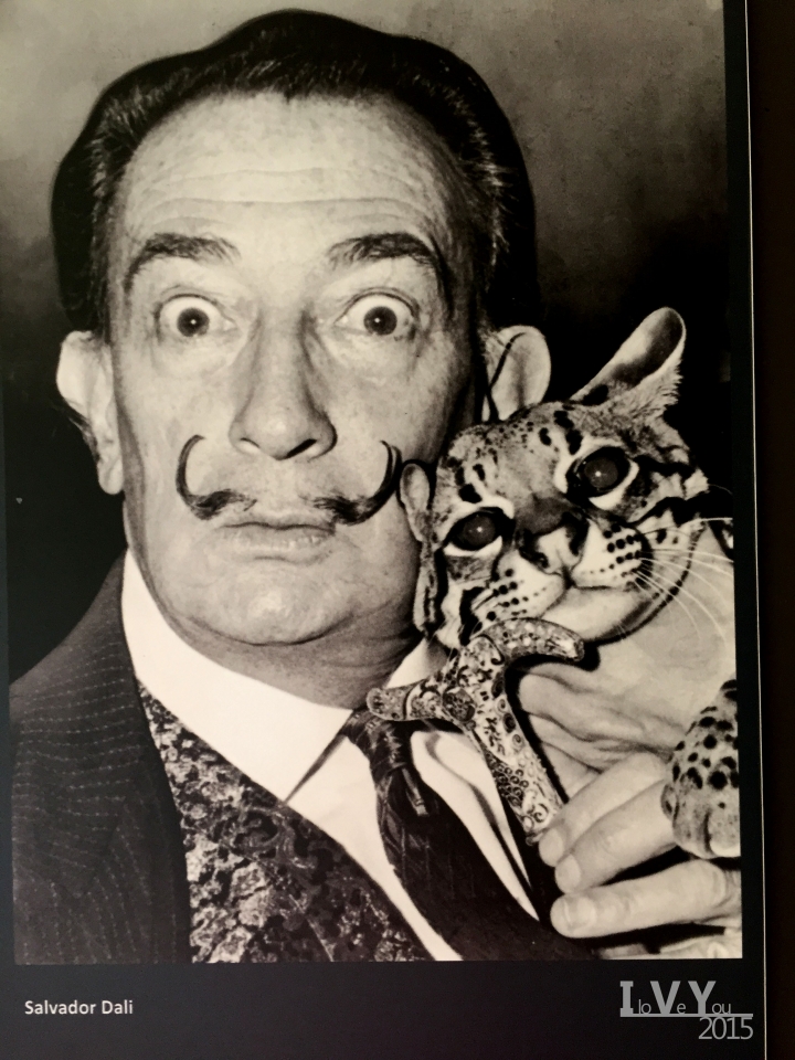 比利時-布魯日Brugge