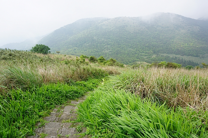 大屯山 - 大屯坪 - 二子坪 - 大屯自然公園 - 菜公坑山  ( 42 P )