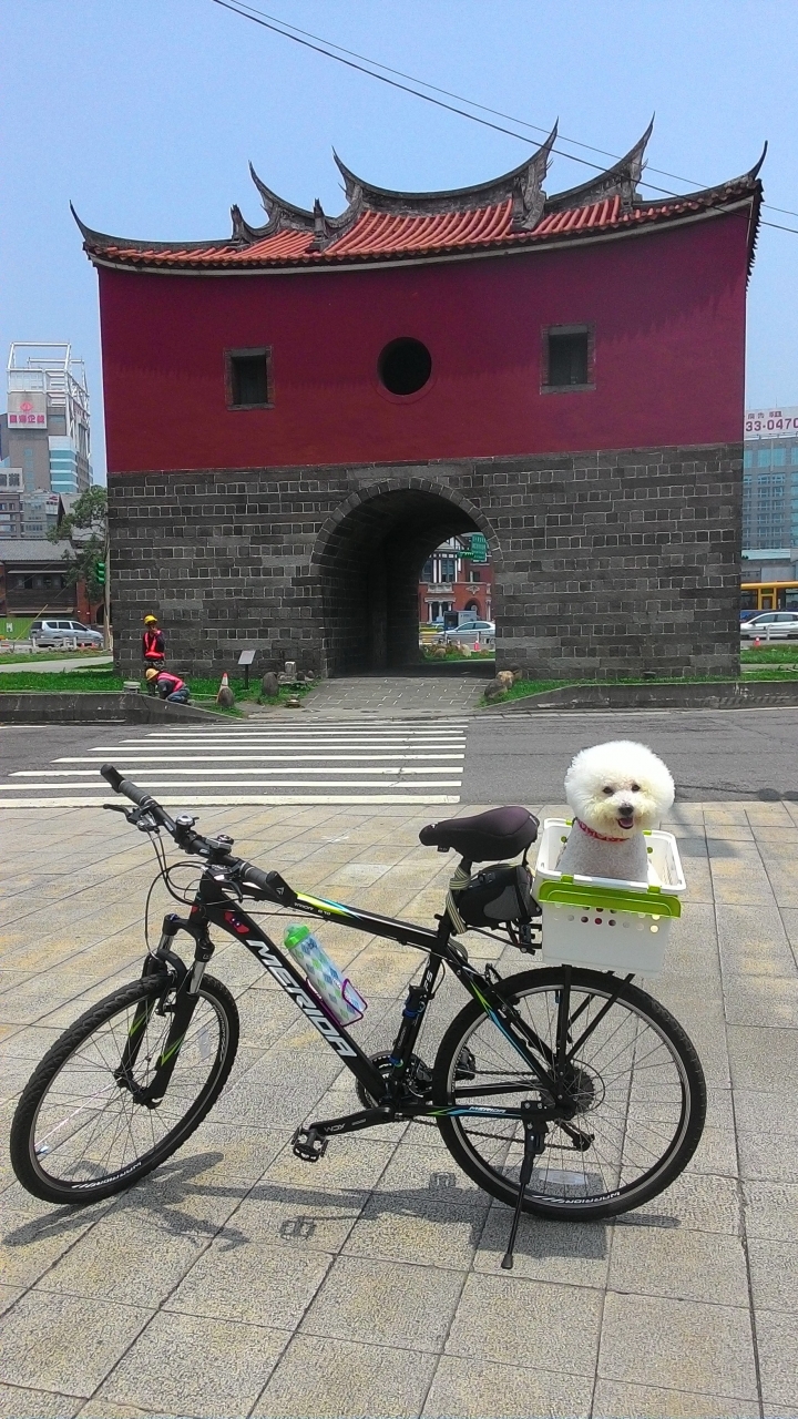 今日風和日麗來趟台北城鐵馬之旅吧!
