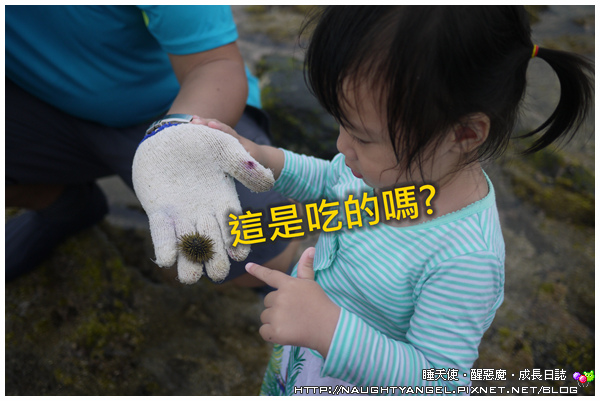 〈澎湖好好玩〉揪團來去漁村住一晚！無菜單行程驚喜連連金促咪！