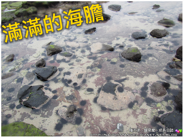 〈澎湖好好玩〉揪團來去漁村住一晚！無菜單行程驚喜連連金促咪！