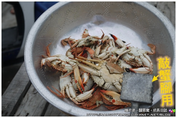 〈澎湖好好玩〉揪團來去漁村住一晚！無菜單行程驚喜連連金促咪！