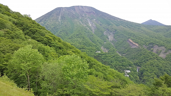 三星 NOTE 5 初夏 日本 實拍 分享 (日光)