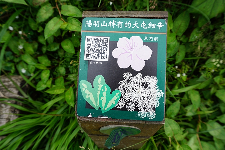 大屯山 - 大屯坪 - 二子坪 - 大屯自然公園 - 菜公坑山  ( 42 P )