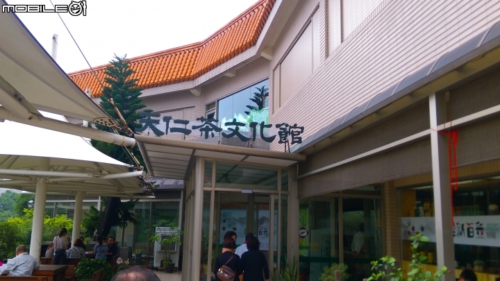 竹南 天仁茶業 觀光工廠散步遊