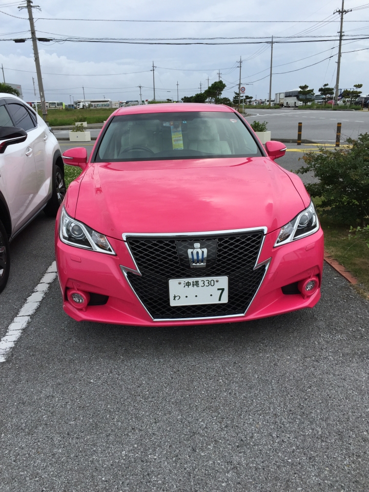 LUXGEN S5 TURBO ECO HYPER 一日遊活動心得 (圖多文少喔)