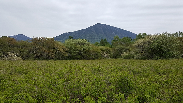 三星 NOTE 5 初夏 日本 實拍 分享 (日光)