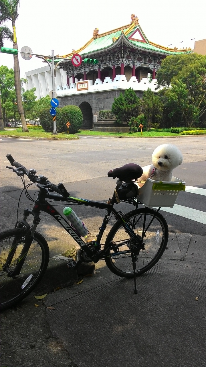 今日風和日麗來趟台北城鐵馬之旅吧!