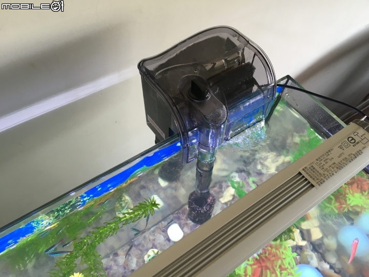 [求救]我爸的魚缸一直養不活