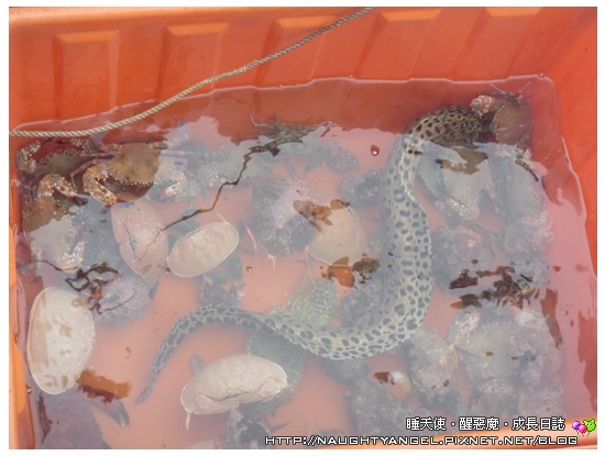 〈澎湖好好玩〉揪團來去漁村住一晚！無菜單行程驚喜連連金促咪！