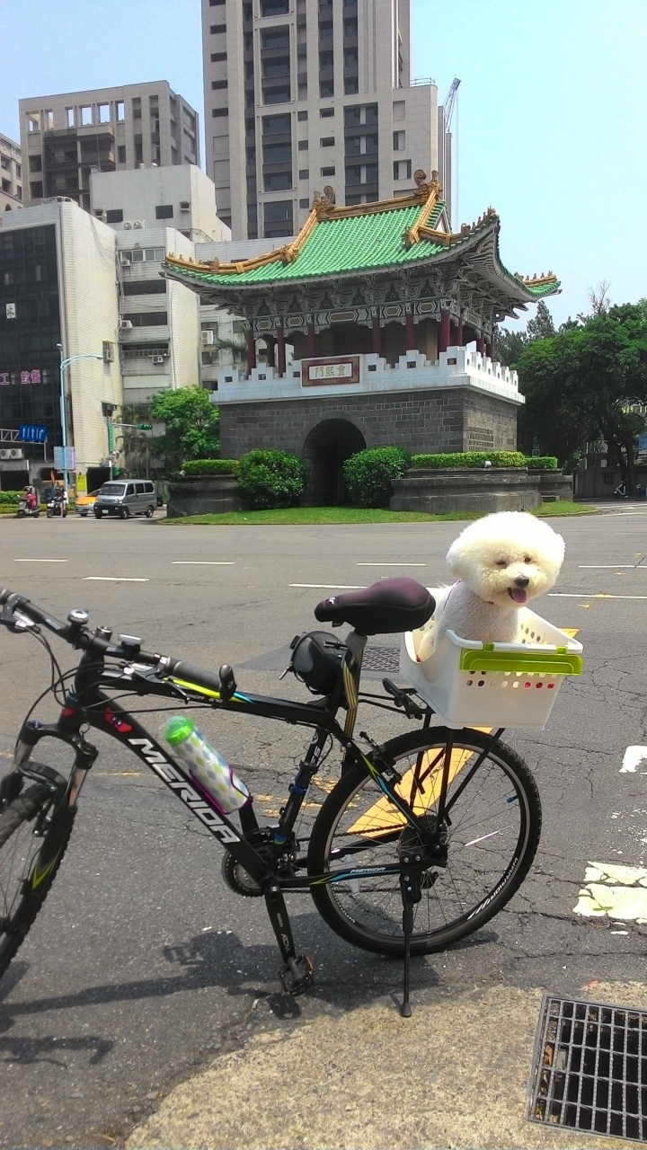 今日風和日麗來趟台北城鐵馬之旅吧!