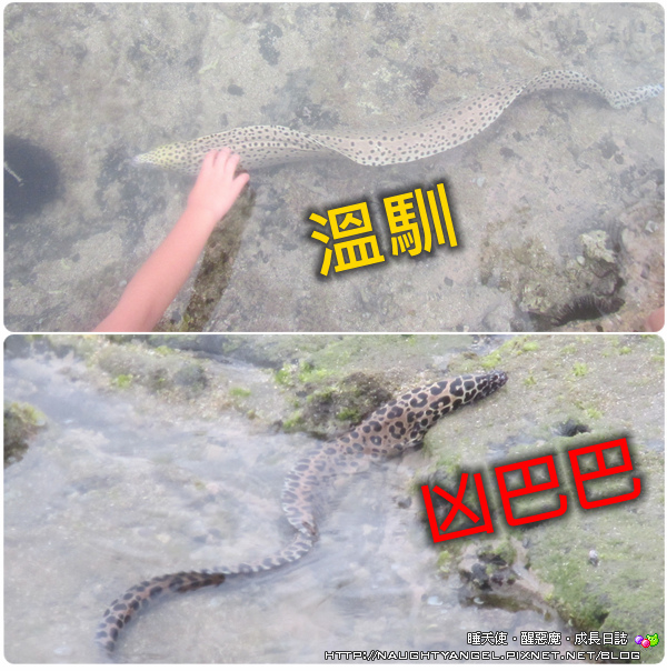 〈澎湖好好玩〉揪團來去漁村住一晚！無菜單行程驚喜連連金促咪！