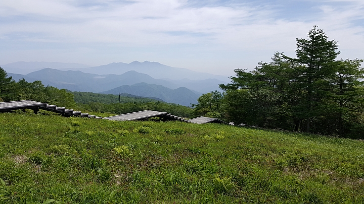 三星 NOTE 5 初夏 日本 實拍 分享 (日光)