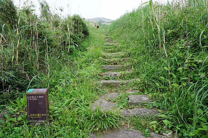 大屯山 - 大屯坪 - 二子坪 - 大屯自然公園 - 菜公坑山  ( 42 P )