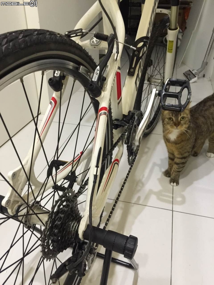 請問這台美利達腳踏車的來歷