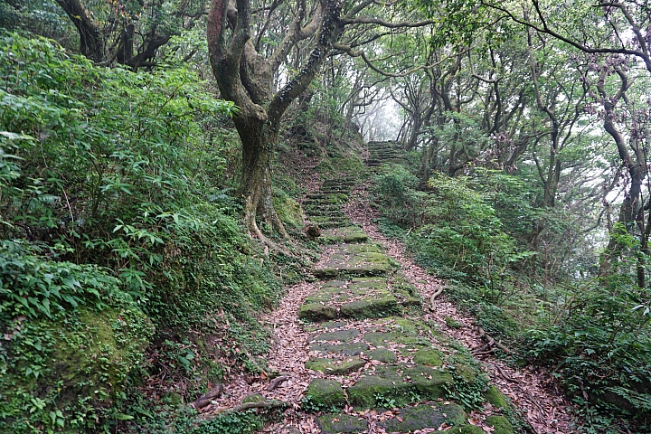 大屯山 - 大屯坪 - 二子坪 - 大屯自然公園 - 菜公坑山  ( 42 P )