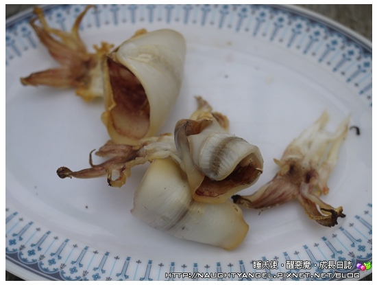 〈澎湖好好玩〉揪團來去漁村住一晚！無菜單行程驚喜連連金促咪！