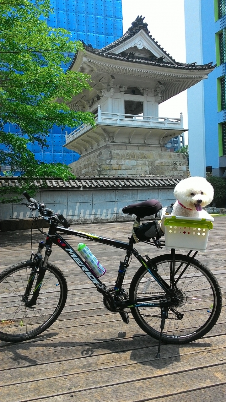 今日風和日麗來趟台北城鐵馬之旅吧!