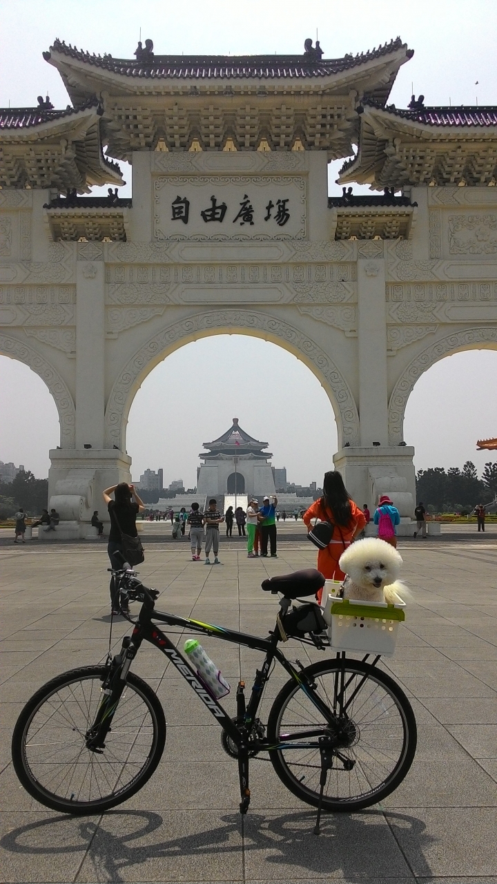 今日風和日麗來趟台北城鐵馬之旅吧!