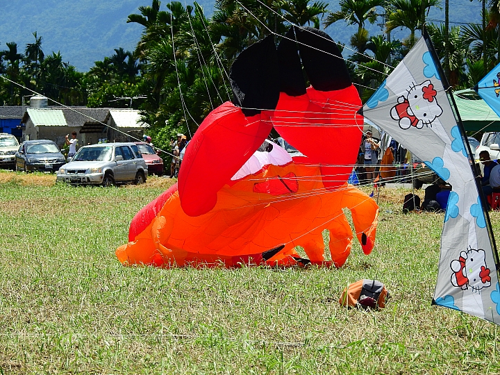 Nikon P900記錄2016屏東風箏節+內埔榮民之家黃金雨隧道