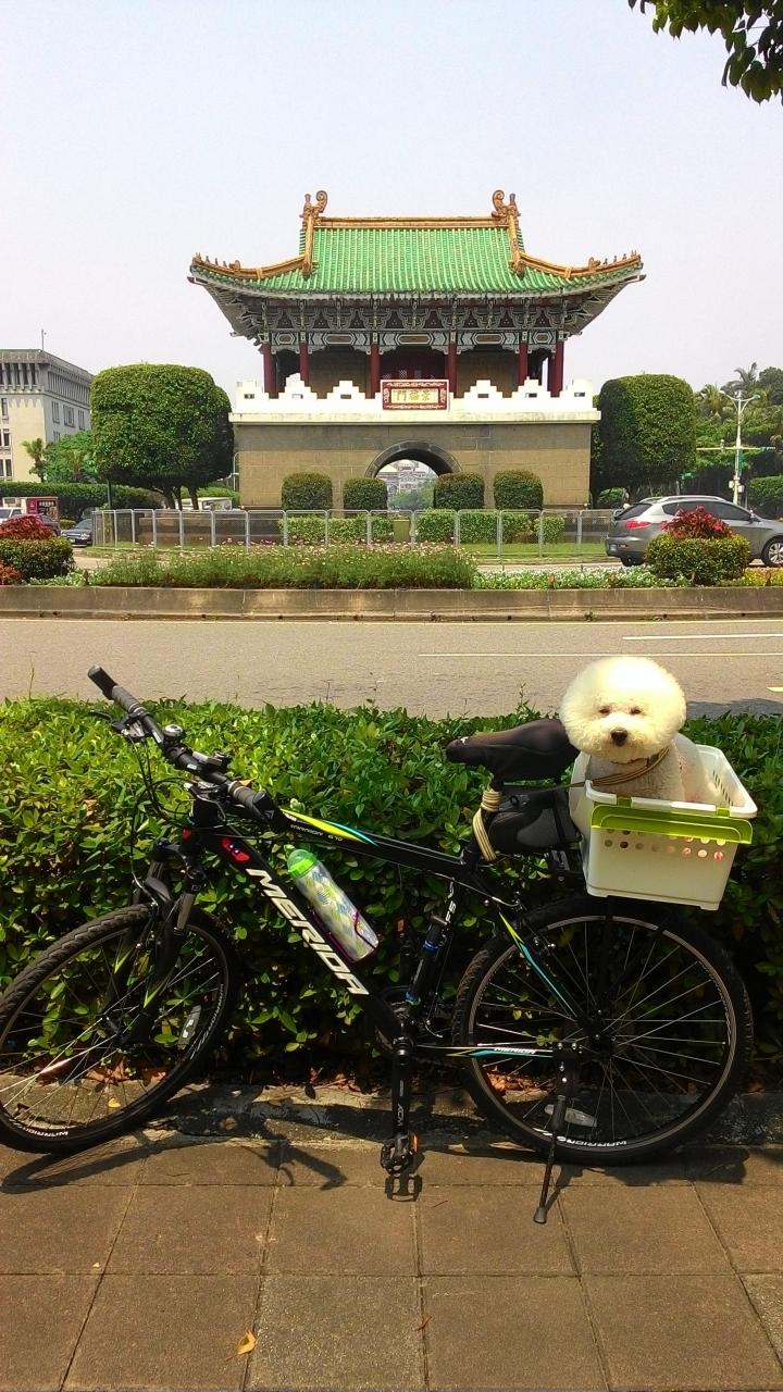 今日風和日麗來趟台北城鐵馬之旅吧!