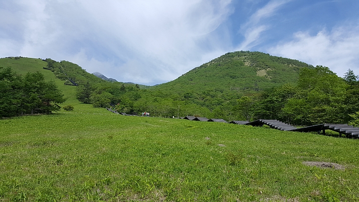 三星 NOTE 5 初夏 日本 實拍 分享 (日光)