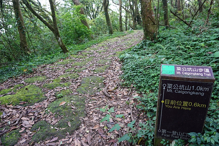 大屯山 - 大屯坪 - 二子坪 - 大屯自然公園 - 菜公坑山  ( 42 P )